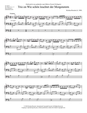 Trio on WIE SCHÖN LEUCHTET DER MORGERNSTERN